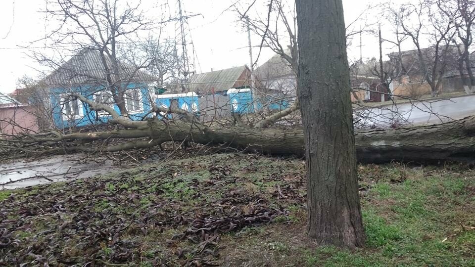 Не проїхати: У Вознесенську через погодні умови дерево впал..., фото-1 Не проїхати: У Вознесенську через погодні умови дерево впало на дорогу, - ФОТО, фото-1