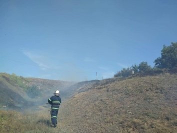 За сутки спасатели несколько раз тушили пожары на открытых территор... За сутки спасатели несколько раз тушили пожары на открытых территориях, Иванова Аня